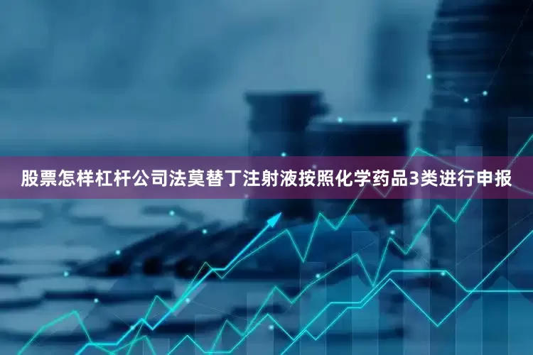 股票怎样杠杆公司法莫替丁注射液按照化学药品3类进行申报